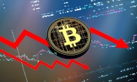 强势股追踪 主力资金连续5日净流入63股