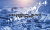股票配资杠杆平台：揭秘风险与机遇，如何玩转资本游戏？