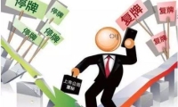 新日股份：2024年前三季度净利润8297